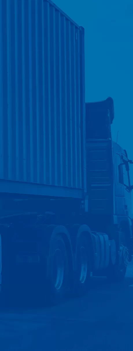 Our services